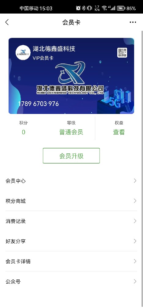 湖北德鑫盛科技